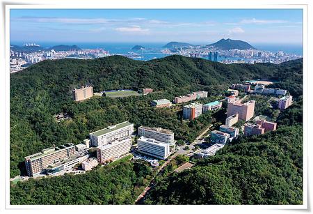 2026학년도 수시모집 9월 12일(금) 18시까지 진행